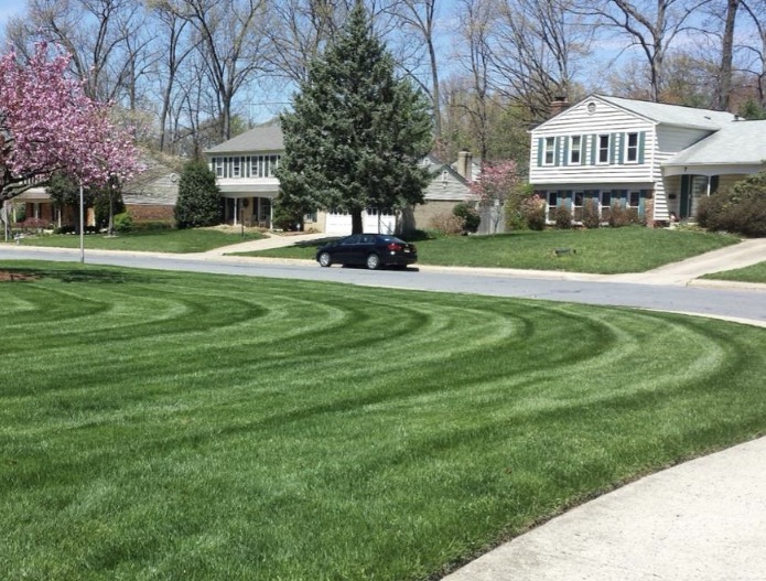 Lawn mowing stripes on a residential lawn in Lancaster PA