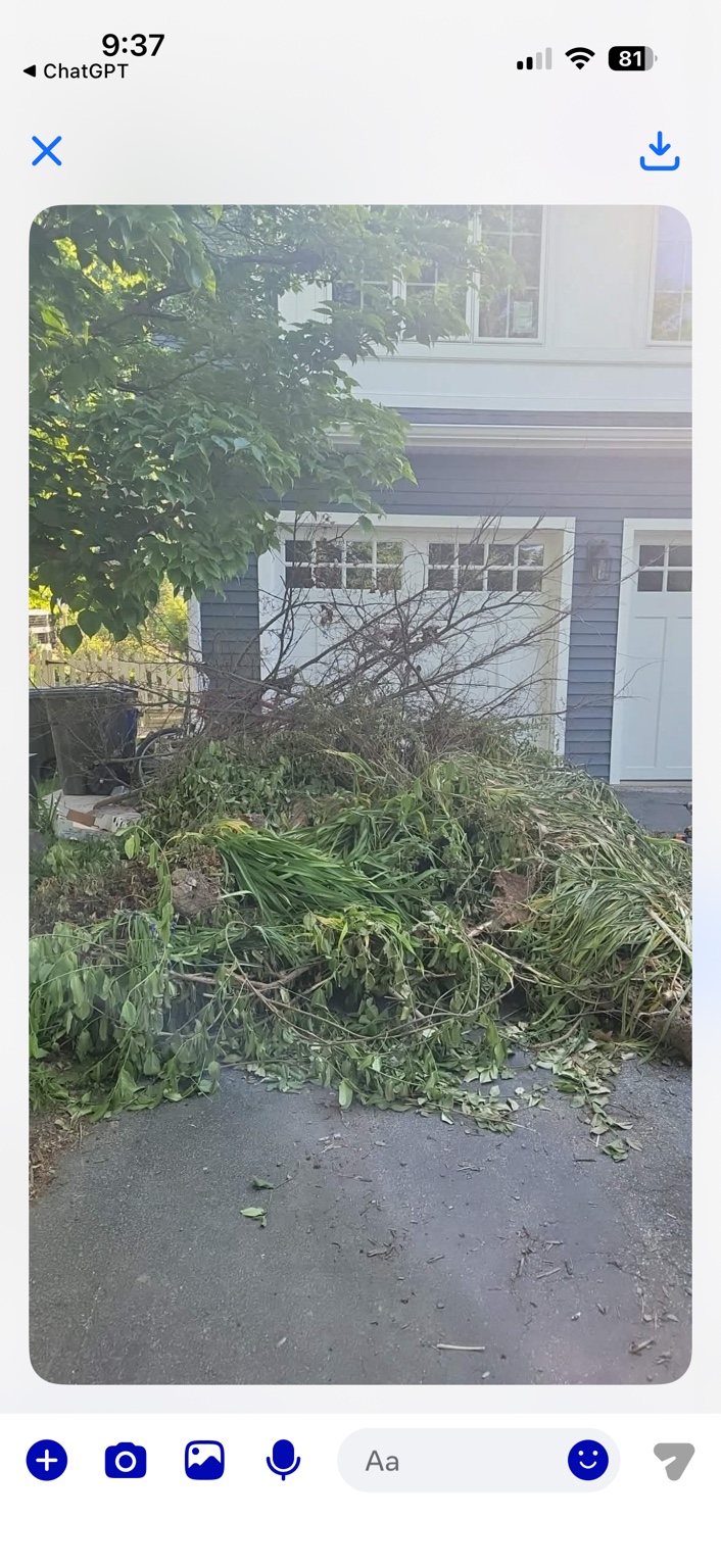 Fall yard cleanup Lancaster PA