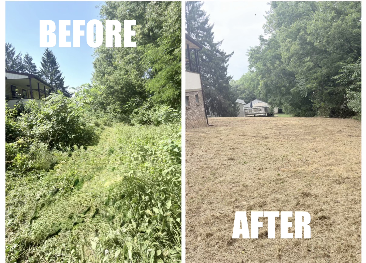 Overgrown property and completed Lawn Patrol cleanup