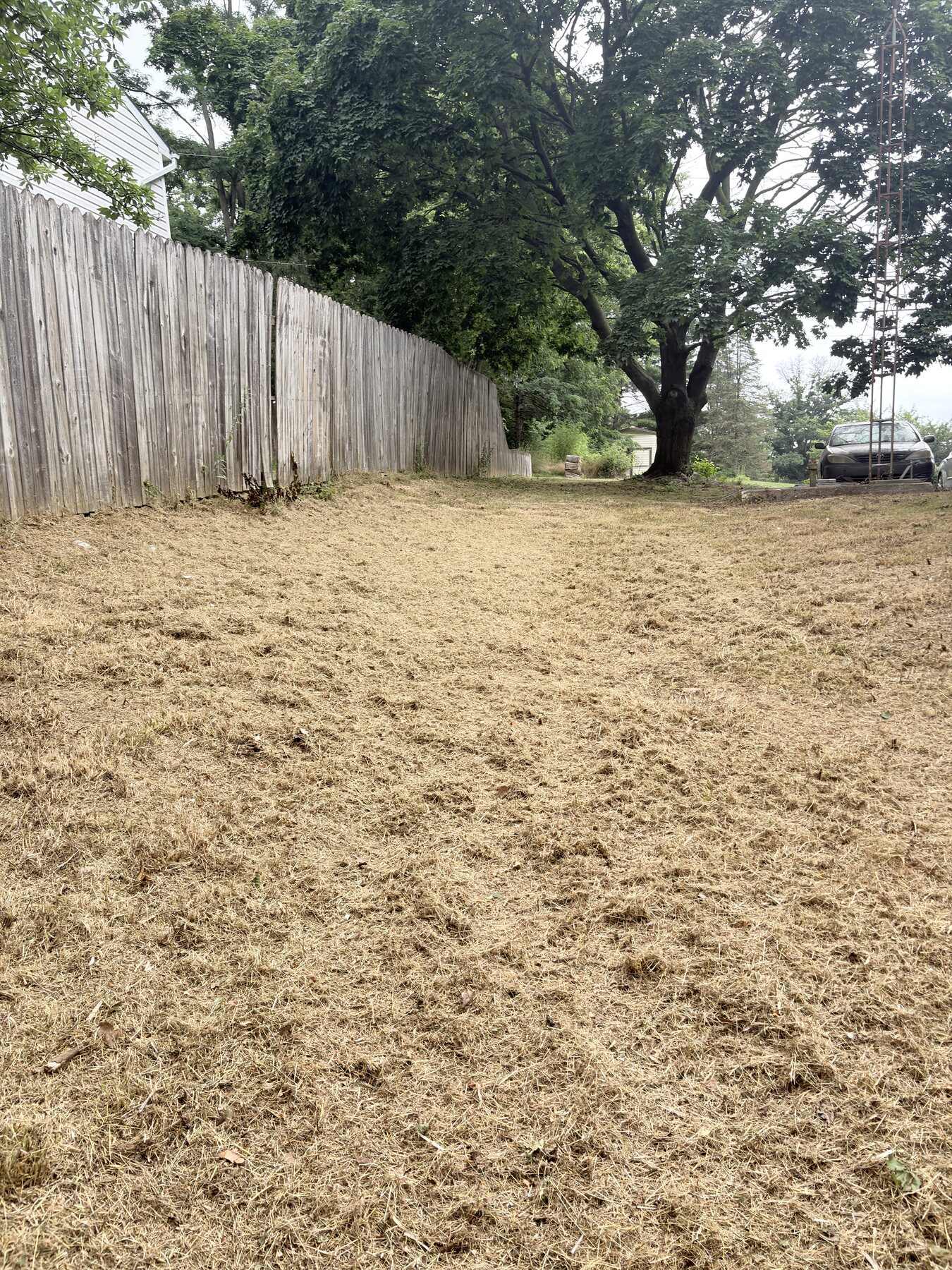 Overgrown yard cleanup after clearing and mowing in Lancaster PA