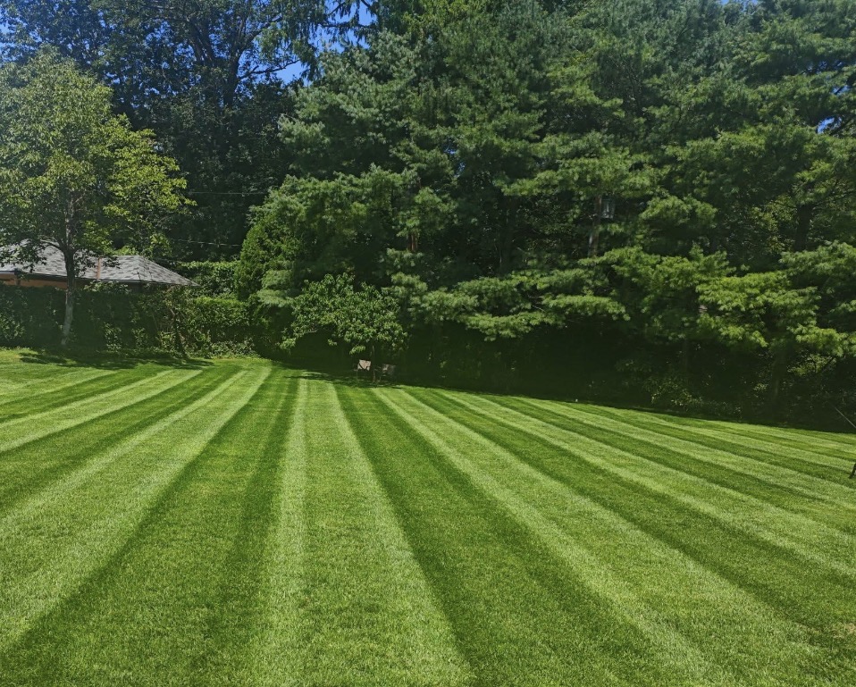 Freshly mowed lawn with professional stripes in Lancaster PA