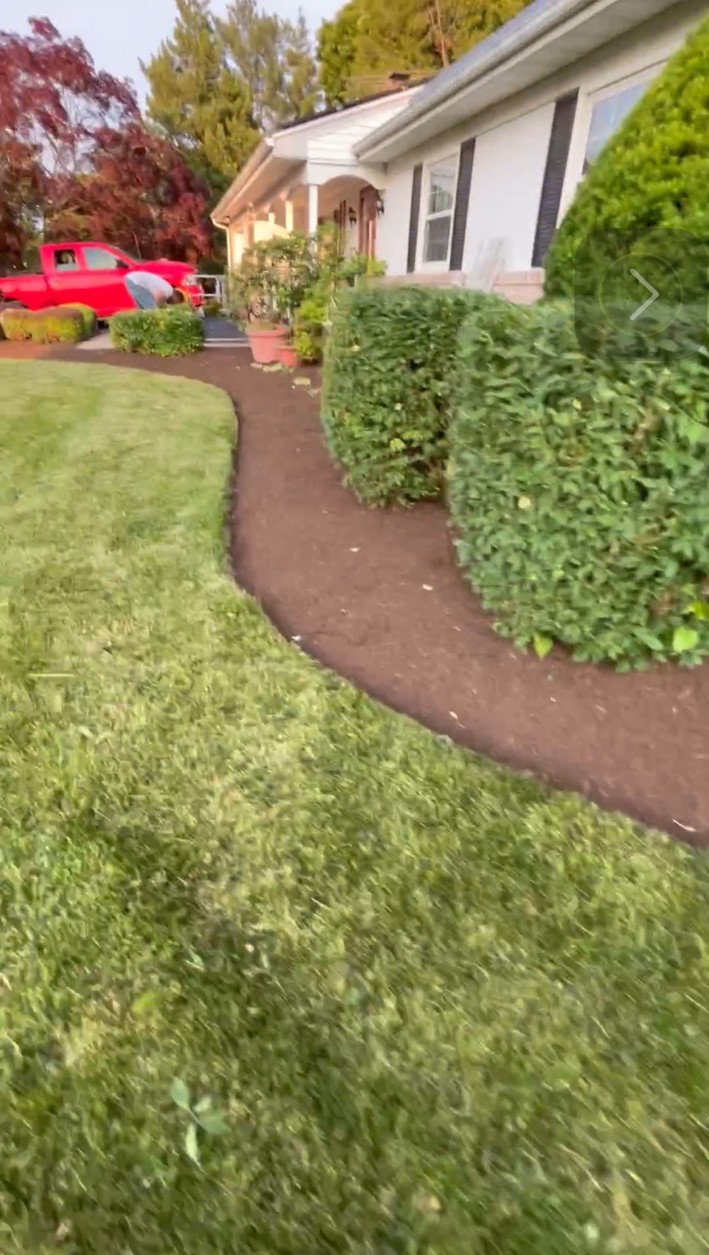 Curved front garden bed with fresh mulch and established shrubs