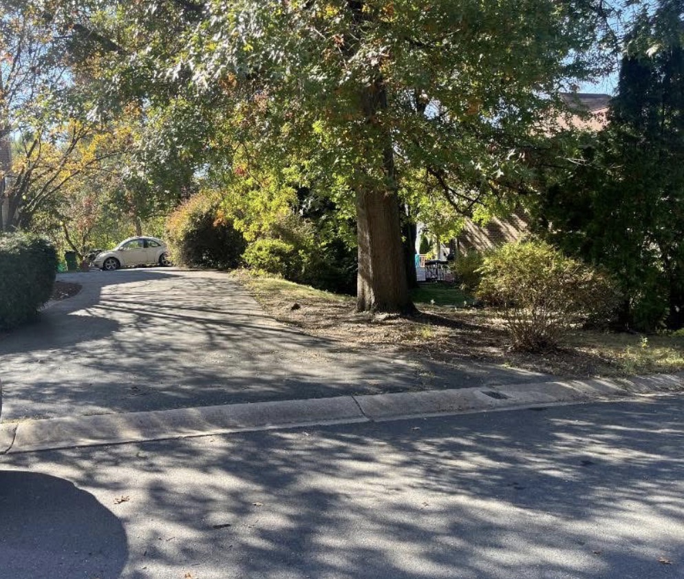 Driveway and surrounding property cleared of fallen leaves