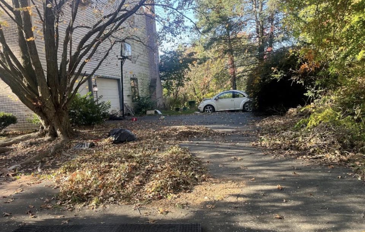Fallen leaves gathered along a residential driveway beneath trees