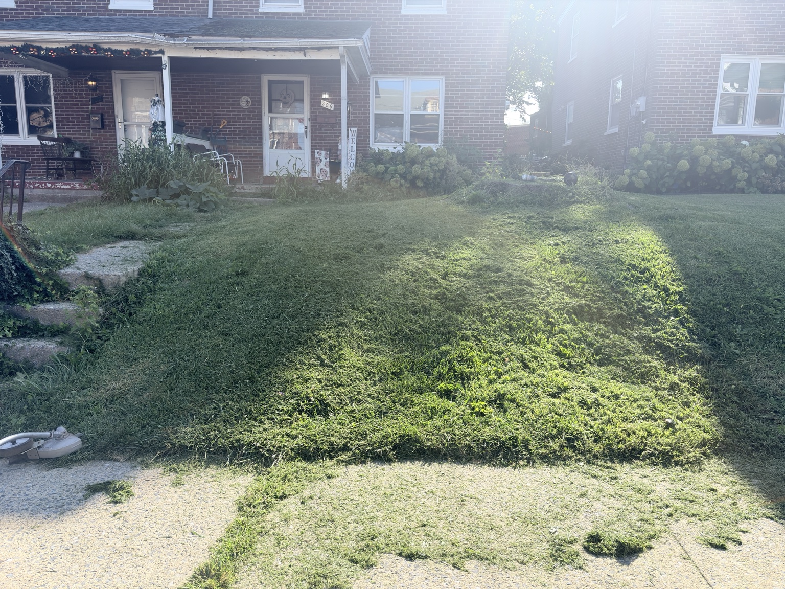 Overgrown front yard before cleanup in Lancaster PA